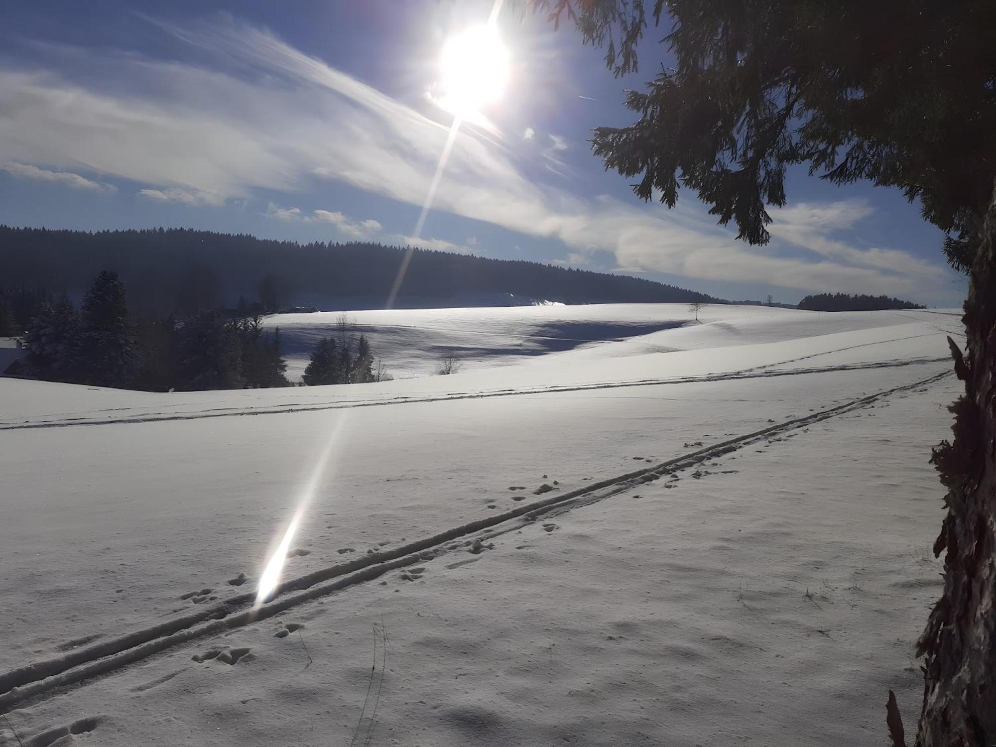 Ferienwohnung Brigachglueck Sankt Georgen im Schwarzwald Exteriör bild
