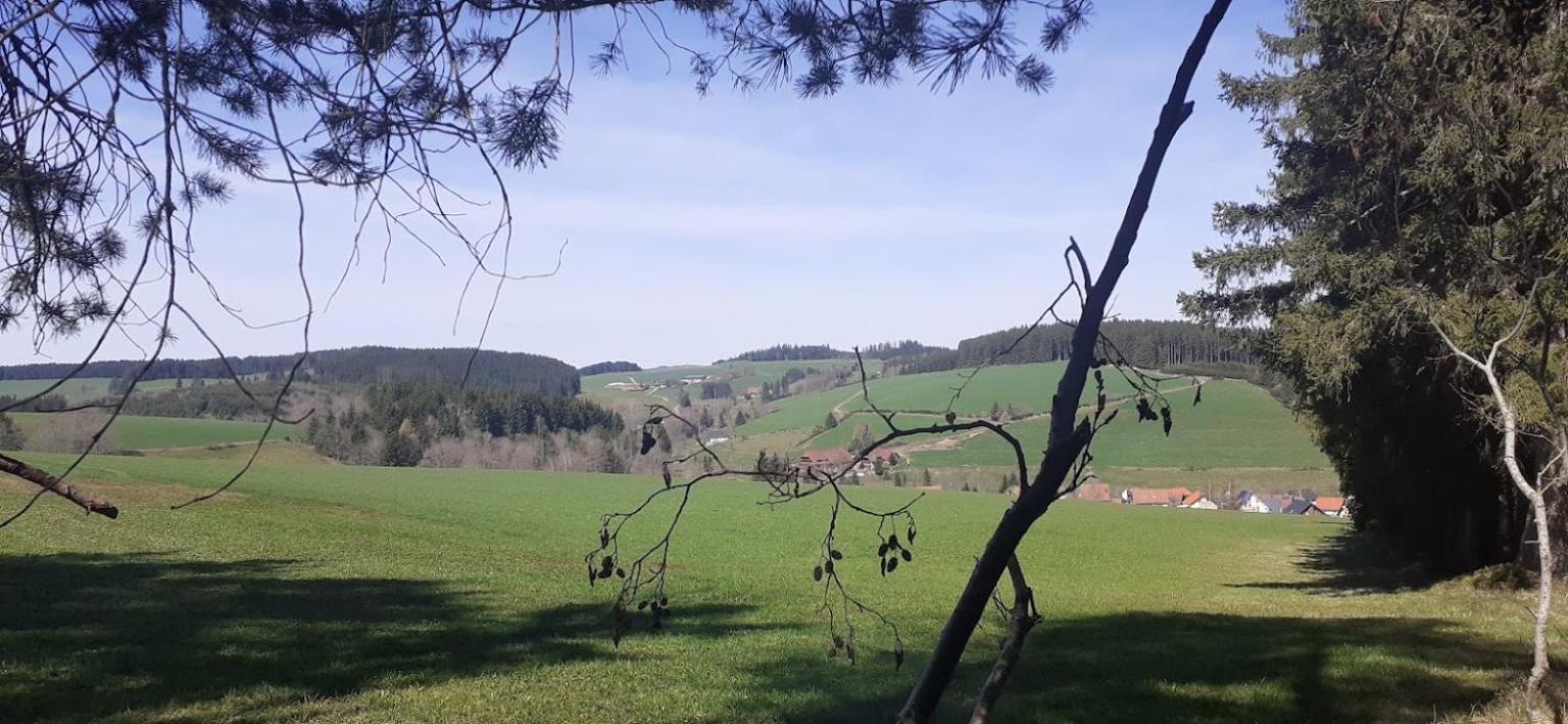 Ferienwohnung Brigachglueck Sankt Georgen im Schwarzwald Exteriör bild