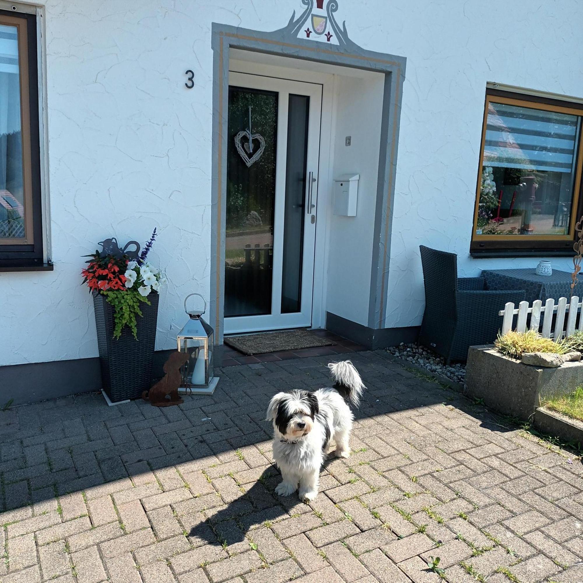 Ferienwohnung Brigachglueck Sankt Georgen im Schwarzwald Exteriör bild
